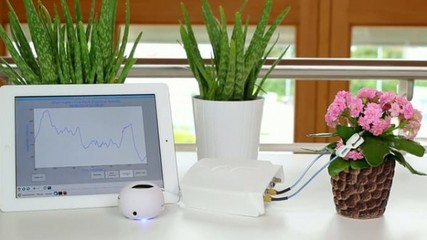 智能產品Phytl Sign:一款翻譯植物語的產品